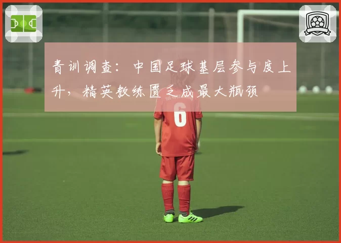 青训调查：中国足球基层参与度上升，精英教练匮乏成最大瓶颈