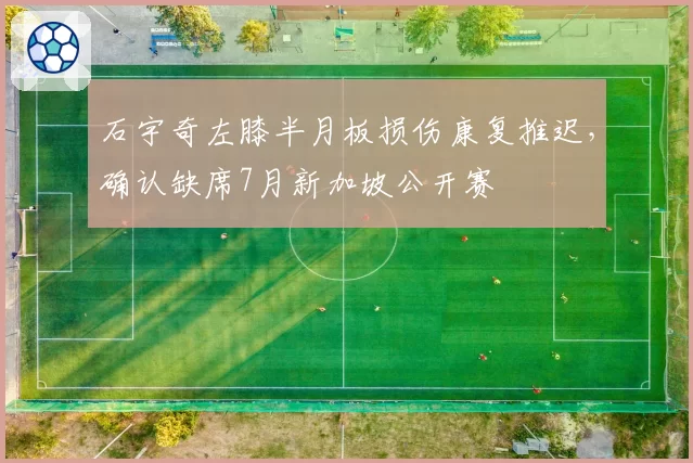 石宇奇左膝半月板损伤康复推迟,确认缺席7月新加坡公开赛