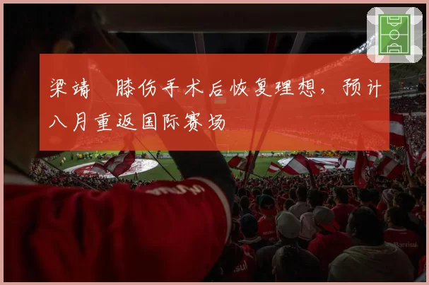 梁靖崑膝伤手术后恢复理想,预计八月重返国际赛场