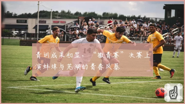 青训成果初显,“徽青赛”决赛上演蚌埠与芜湖的青春风暴